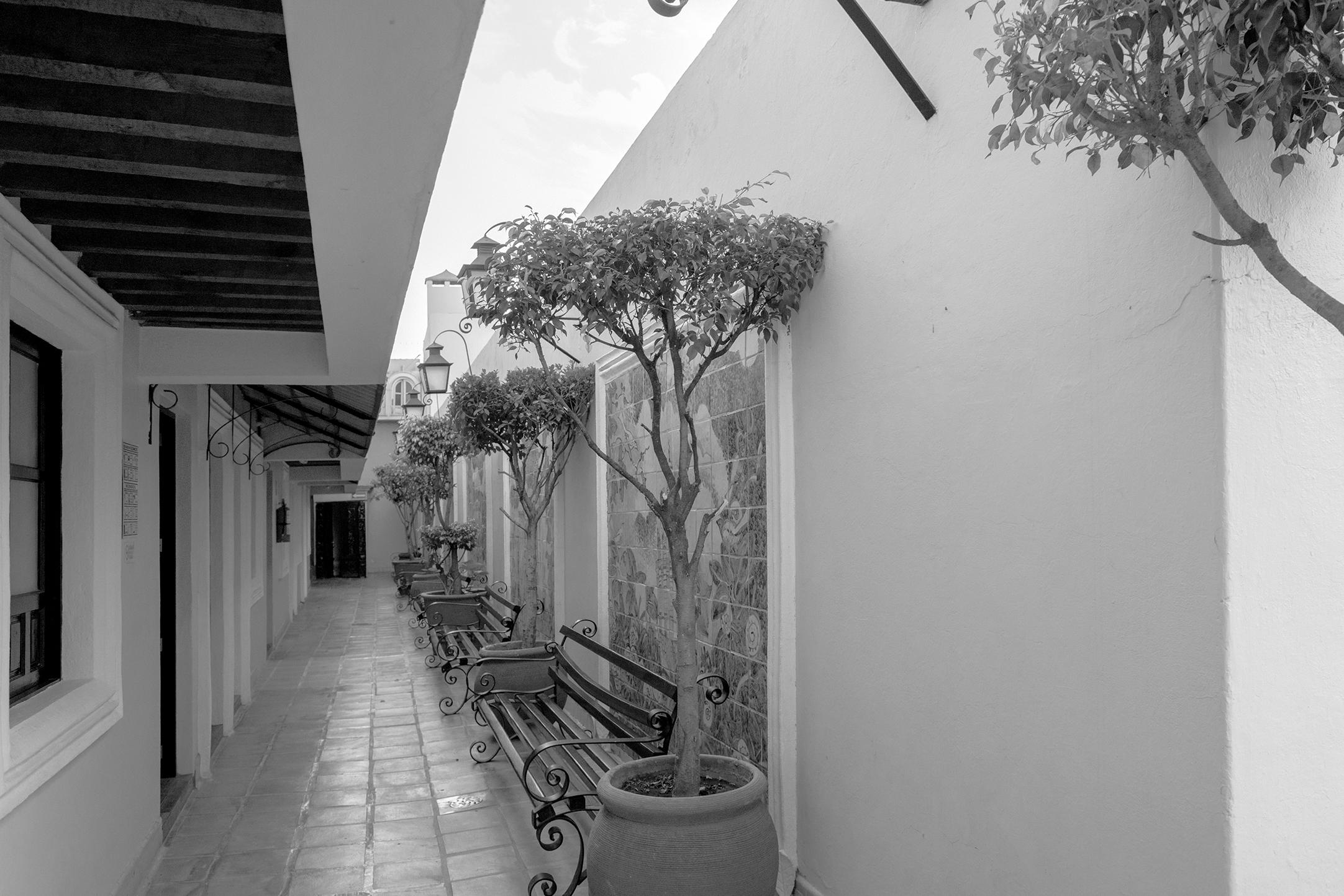 Hotel La Morada سان ميغيل دي الليندي المظهر الخارجي الصورة